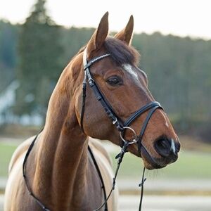 Pony English Bridle w/ Reins